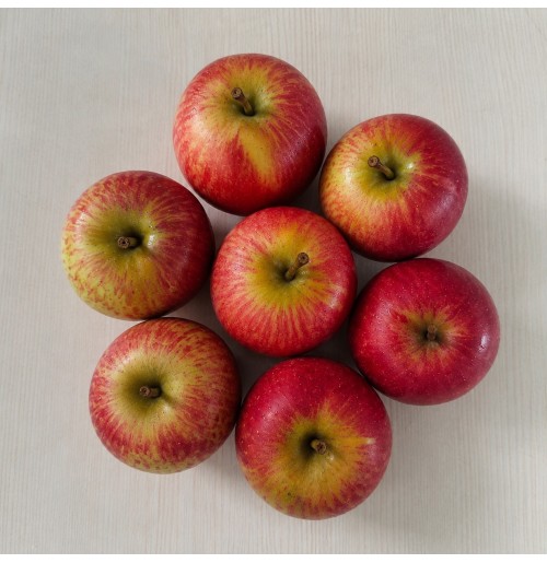 Baby Apples - ROYAL DELICIOUS 